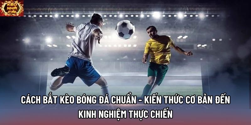 Cách Bắt Kèo Bóng Đá Chuẩn - Kiến Thức Cơ Bản Đến Kinh Nghiệm Thực Chiến