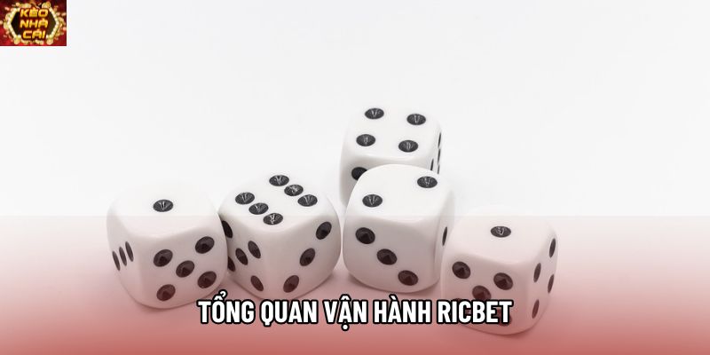 Tổng quan vận hành Ricbet
