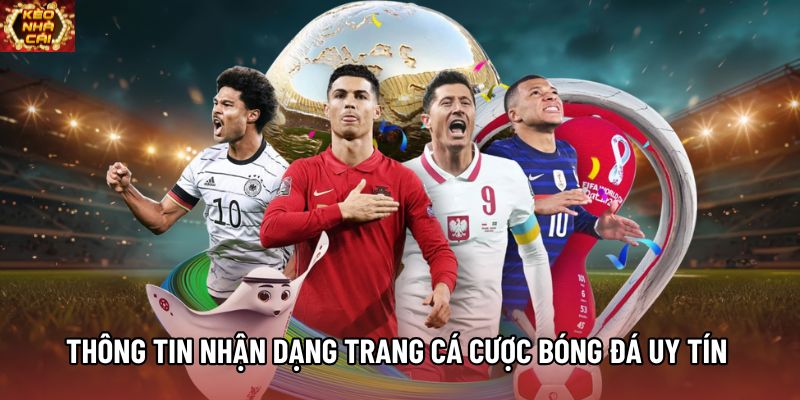 Thông tin nhận dạng trang cá cược bóng đá uy tín 