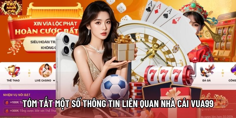 Tóm tắt một số thông tin liên quan nhà cái VUA99