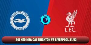 Soi kèo nhà cái Brighton vs Liverpool 31/03 - Ngoại hạng Anh